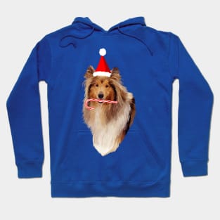 Christmas Santa Candy Cane Collie Hoodie